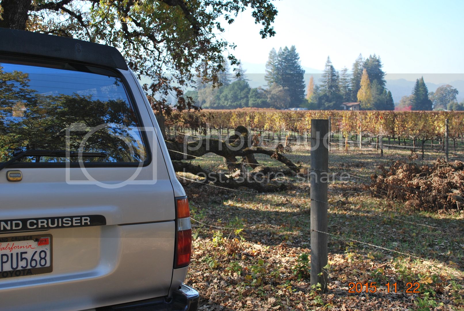 DSC_2516_zps45rgqatn.jpg