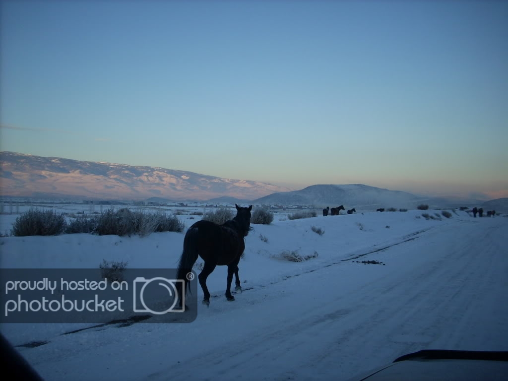 DSCN1081.jpg