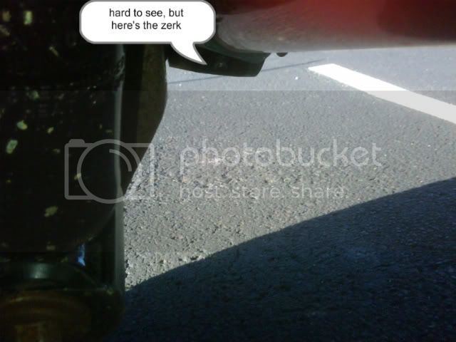 IMG00113.jpg