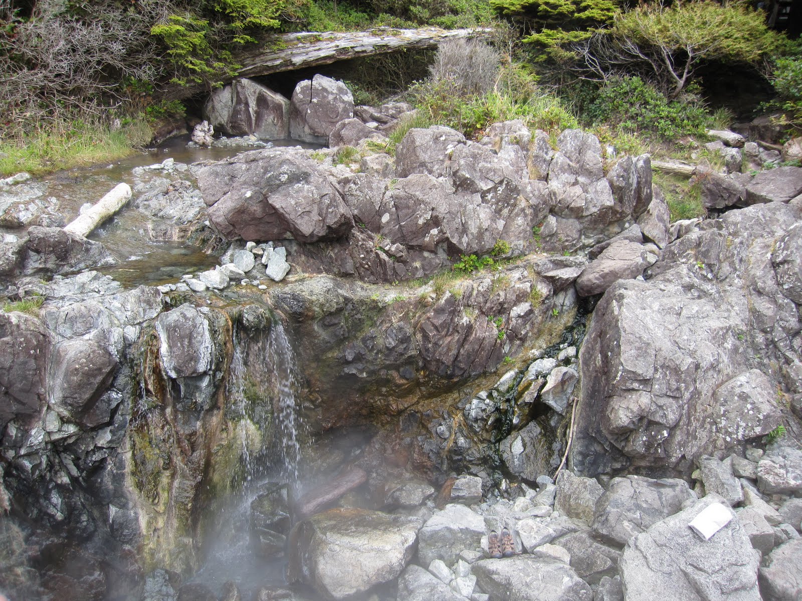 day19-hotspringscove054.jpg