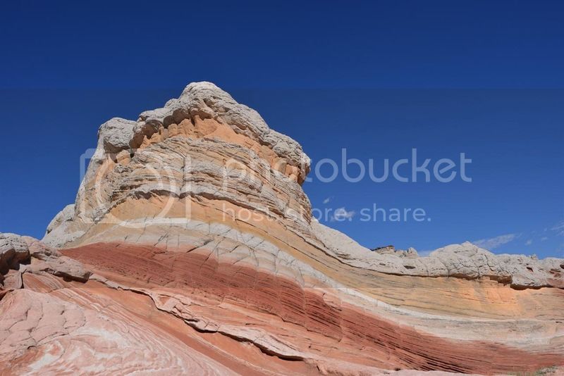 DSC_0237.jpg