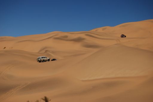 desert_ext_2008_3.jpg