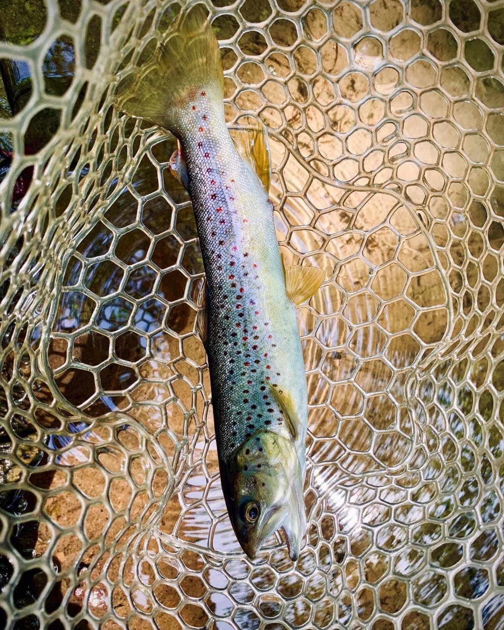 unnamed (7) - Copy.jpg