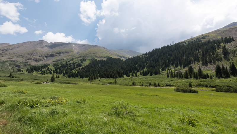 DSC_9192-L.jpg