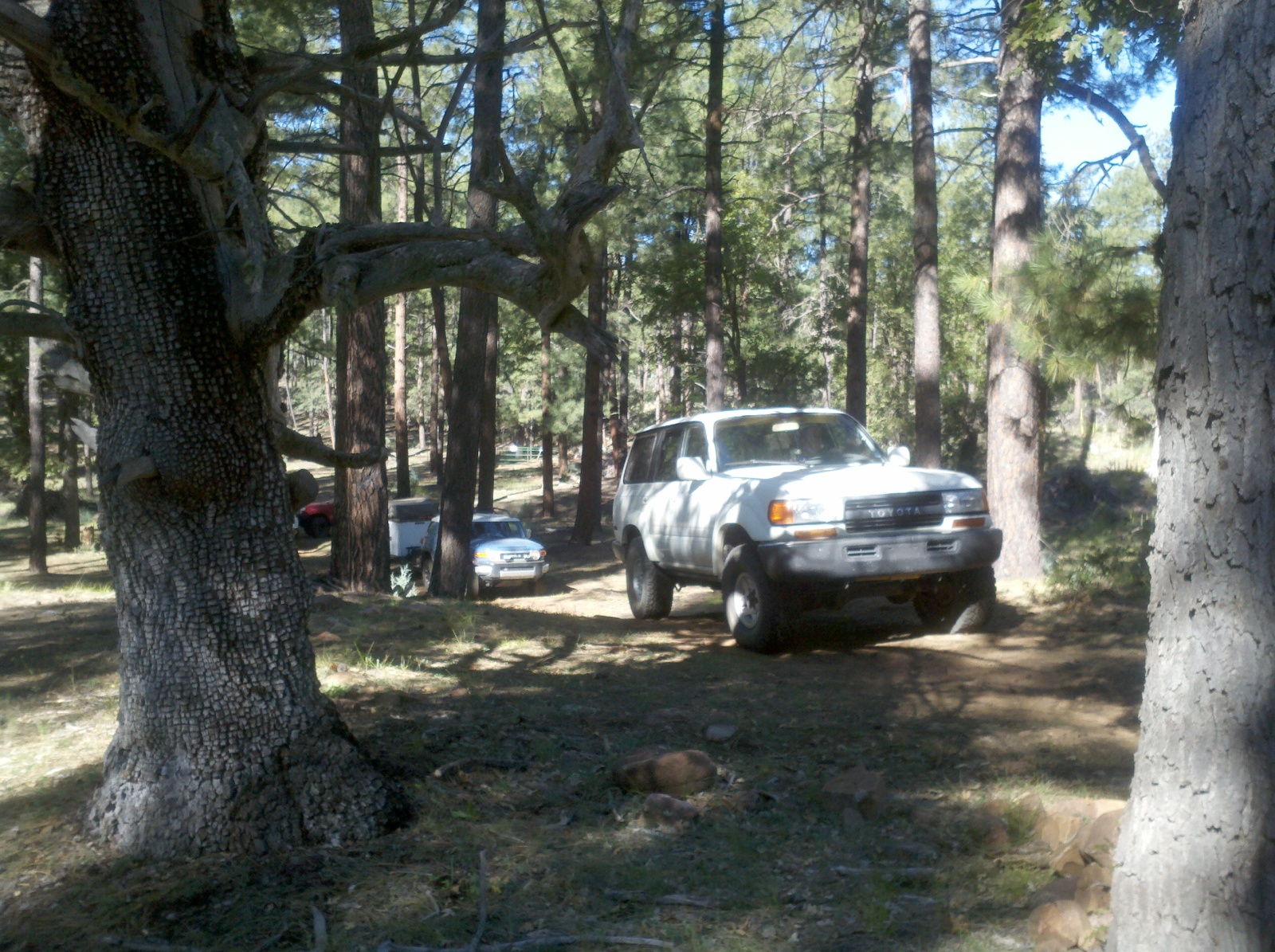 211qx4.jpg