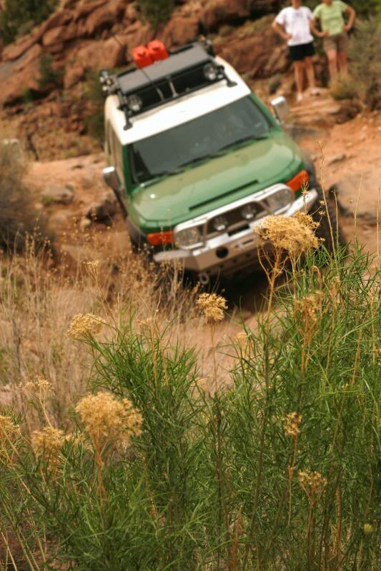 _MG_4020.jpg