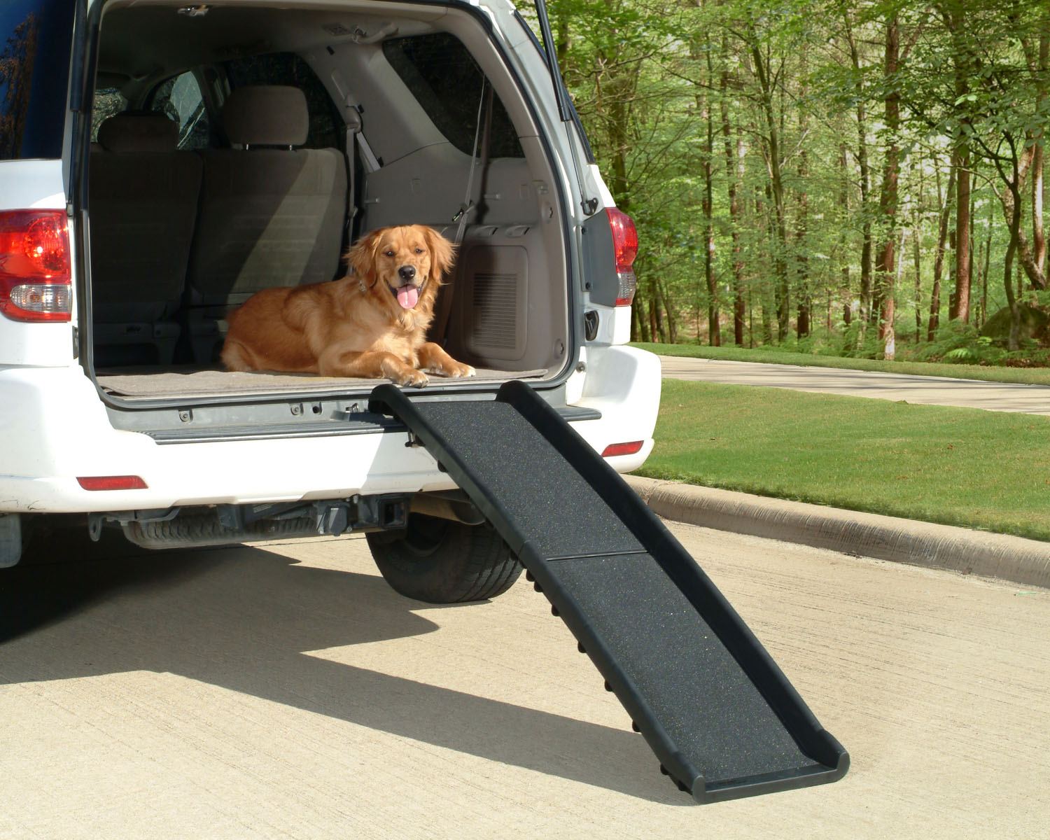 lightweight-folding-dog-ramp-15.jpg