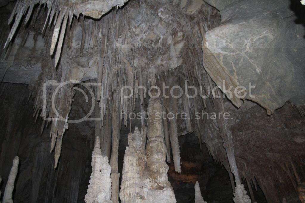 IMG_0980_zpspitrddc3.jpg