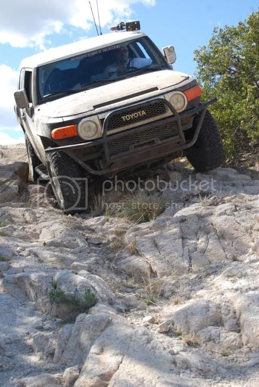 alamo23.jpg