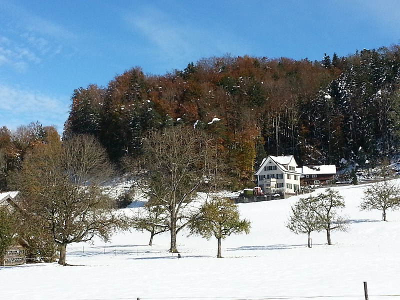 schnee2.jpg