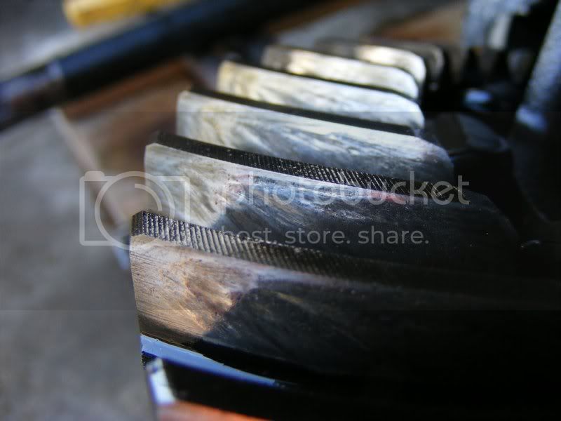 DSCF2165.jpg