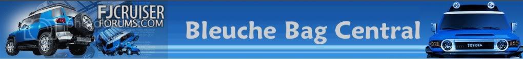 BleucheBagCentral.jpg