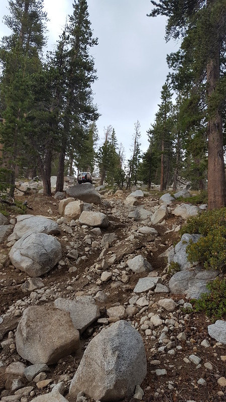 29165730537_3f9349abc6_c.jpg