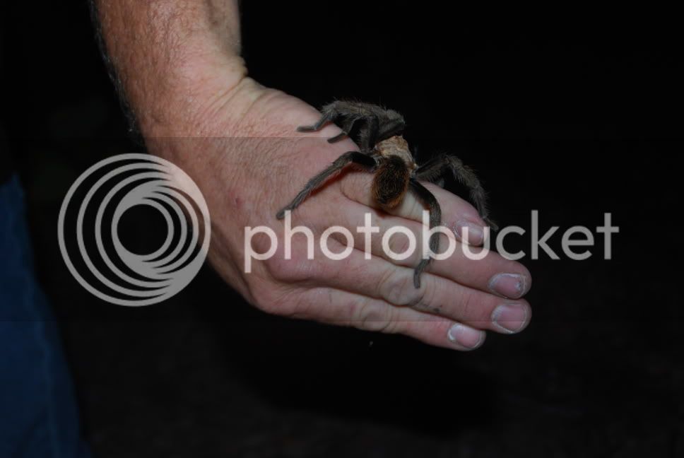 DSC_0815.jpg