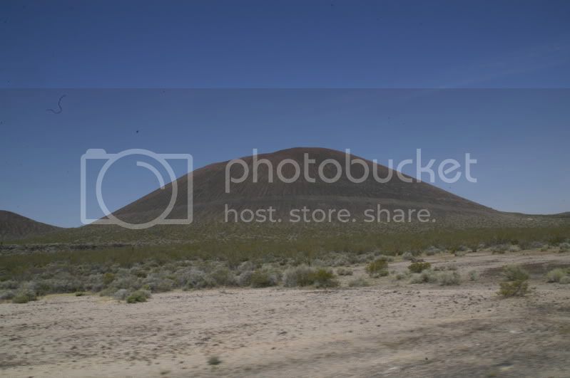 DSC_0442.jpg