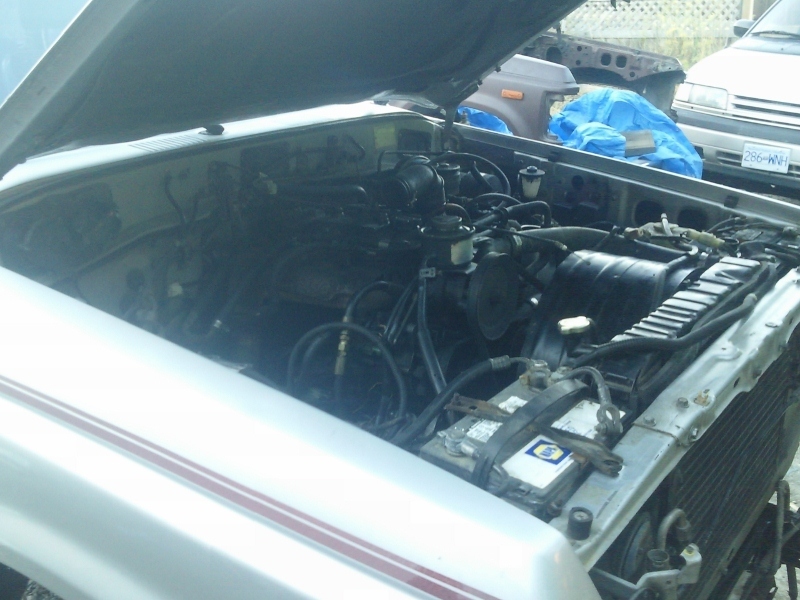SNC00283800x600.jpg