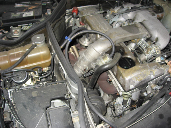 287302856_bSKVN-M-1.jpg