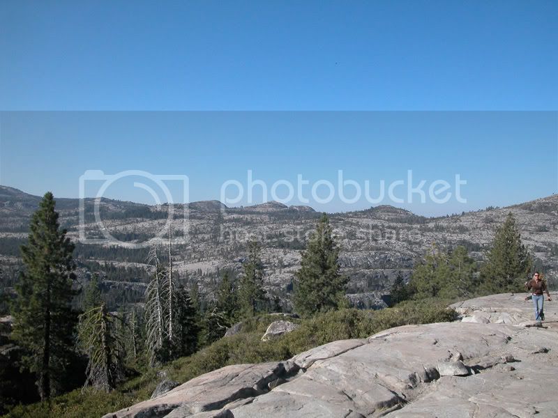 lookout2.jpg