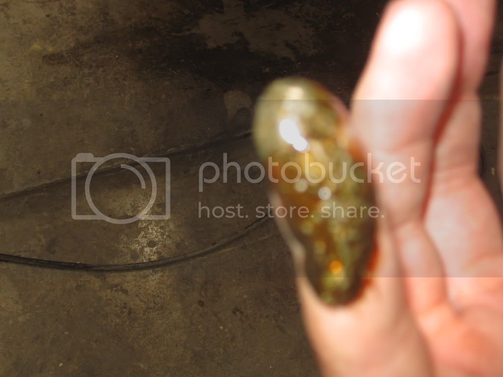2011061631.jpg