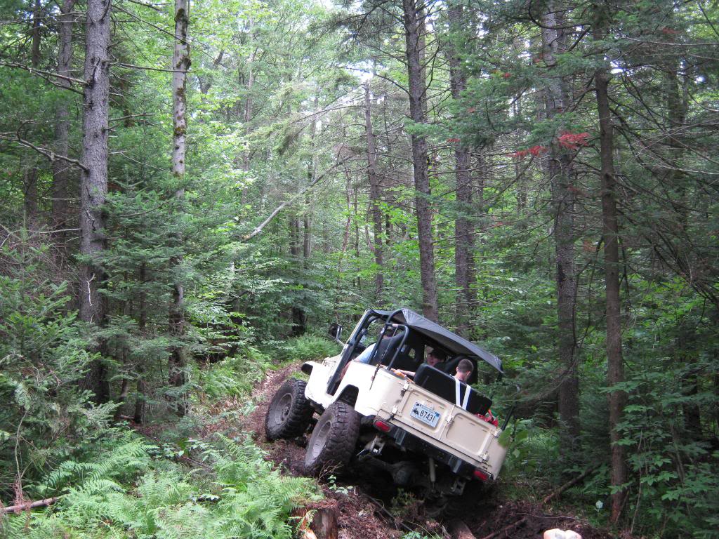IMG_1370.jpg