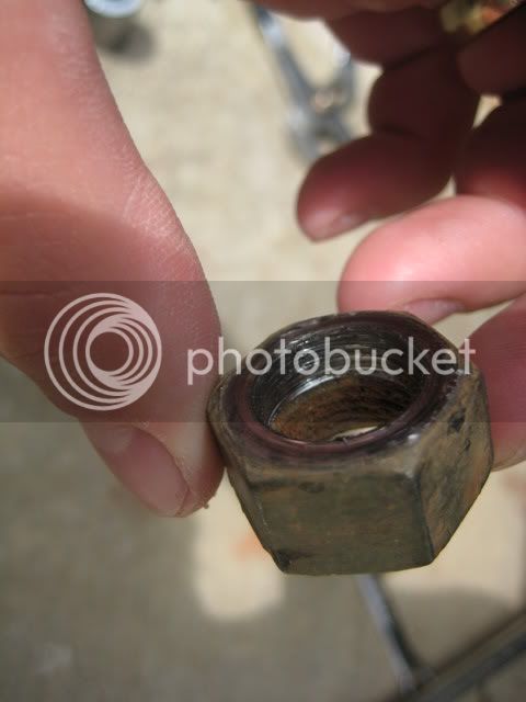 may08099.jpg