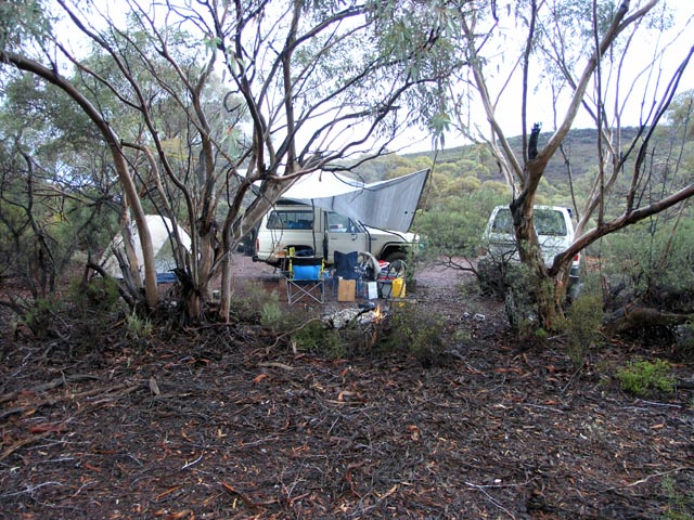 oz2k9_39.jpg
