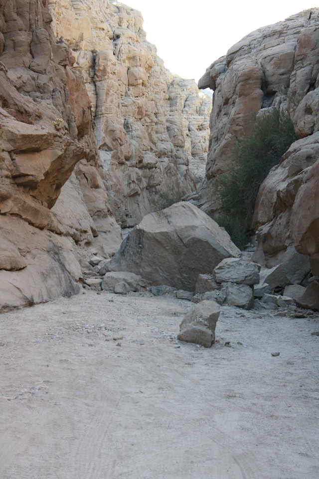 IMG_6470-X2.jpg