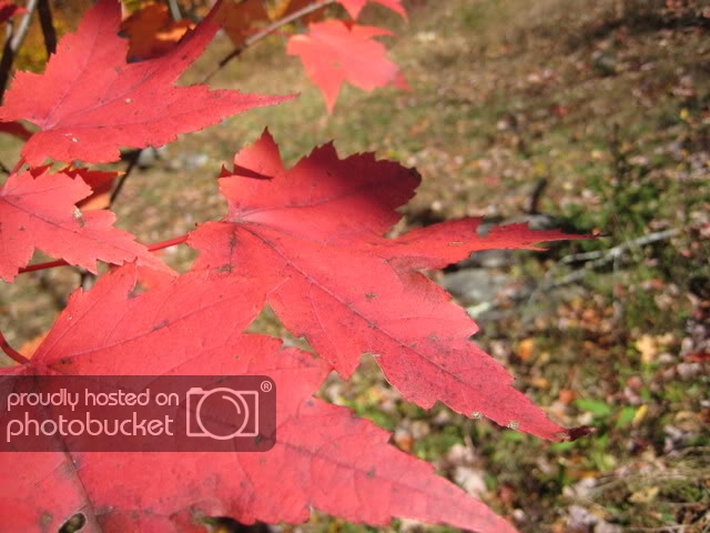 October07025.jpg