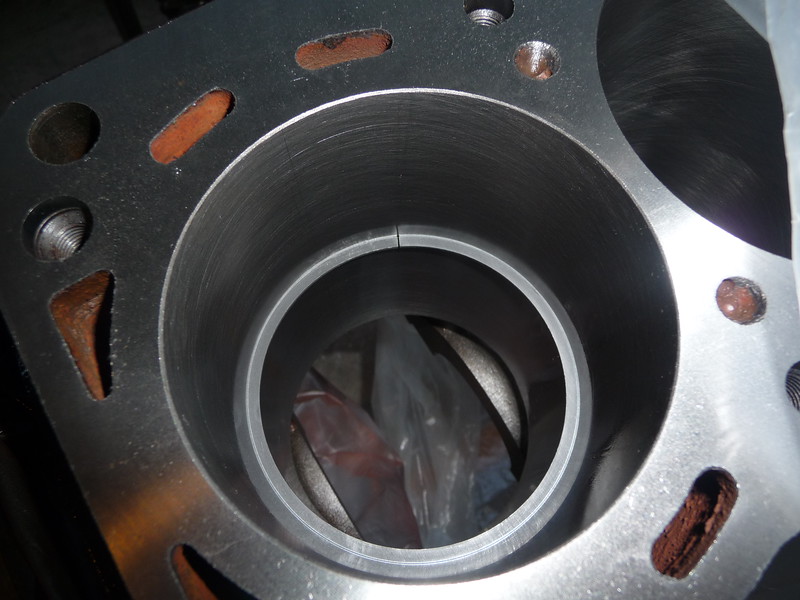 P1040151-L.jpg