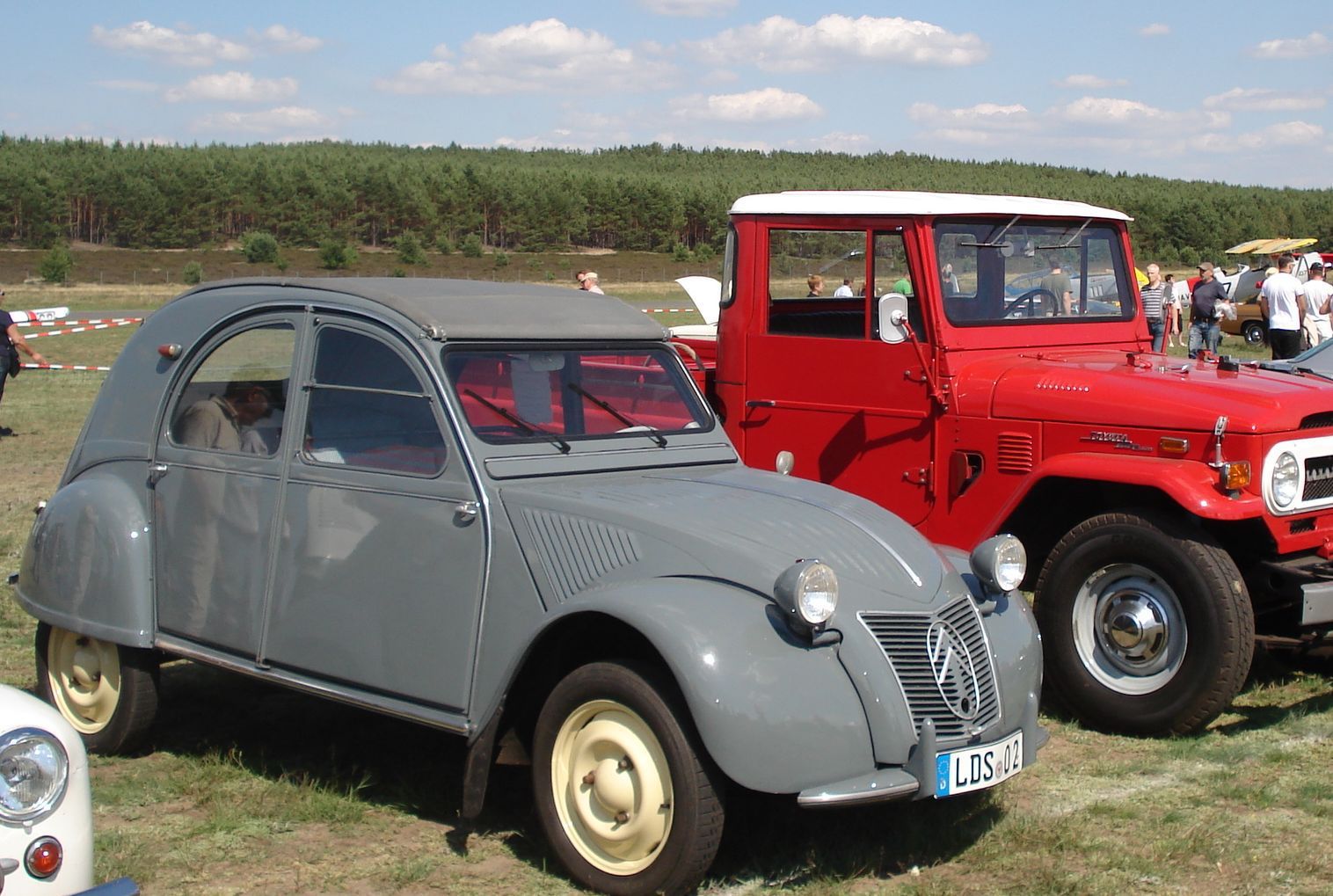 dsc009960dsyn.jpg