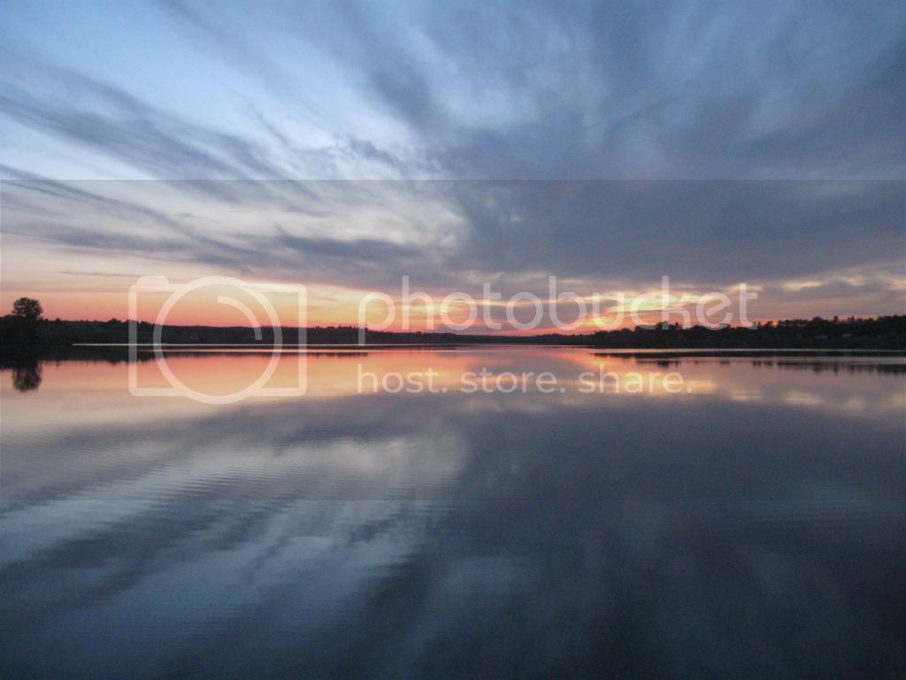 IMG_5972_zps7c23710a.jpg