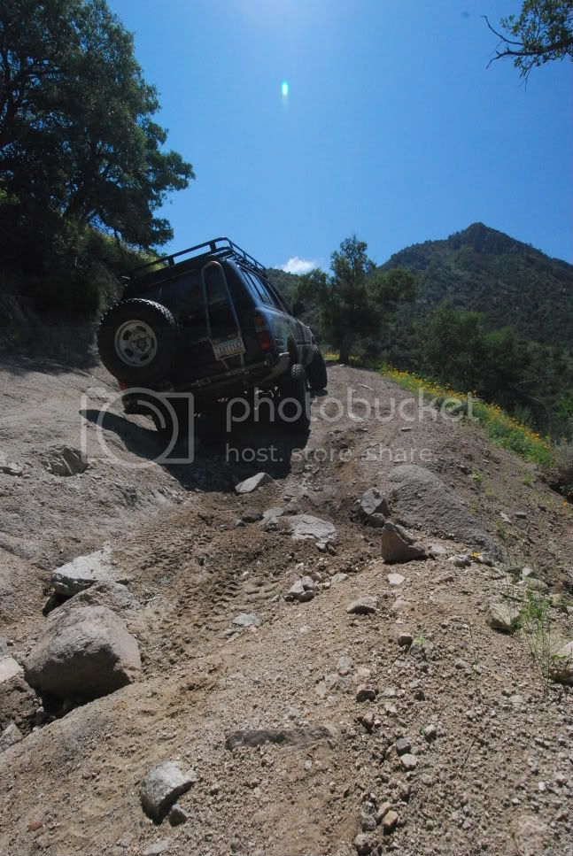 DSC_0162.jpg