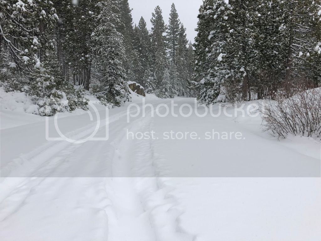 Snow%20Cruiser%202_zpsrzie8ej3.jpg