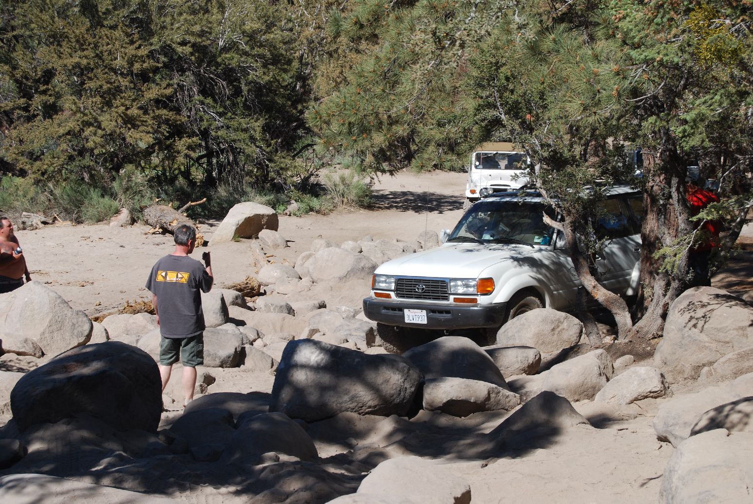 BigBear734.jpg