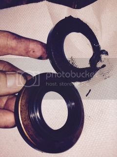 new%20oil%20seal%20compare.jpg