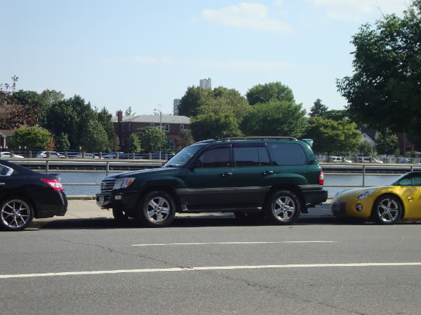 DSC06003-1.jpg