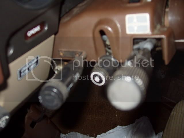 march07042.jpg