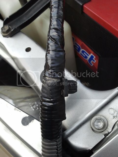 2012-11-20113602.jpg