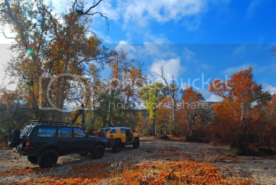 DSC_0724.jpg