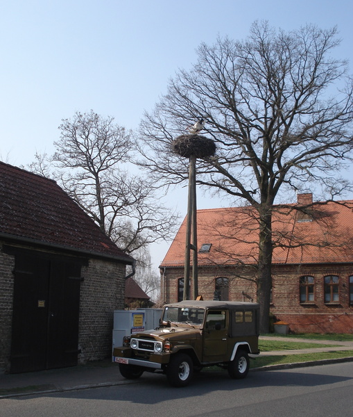 dsc0135700jig.jpg