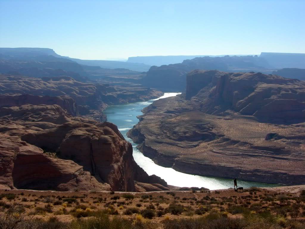 DSCN4303.jpg