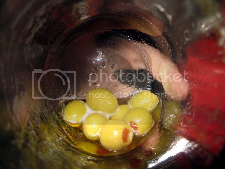 pozotini722.jpg