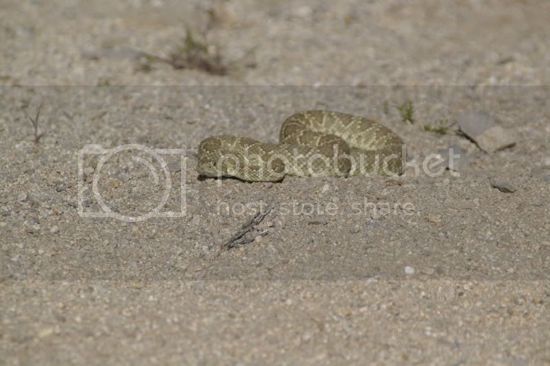 DSC_0343.jpg