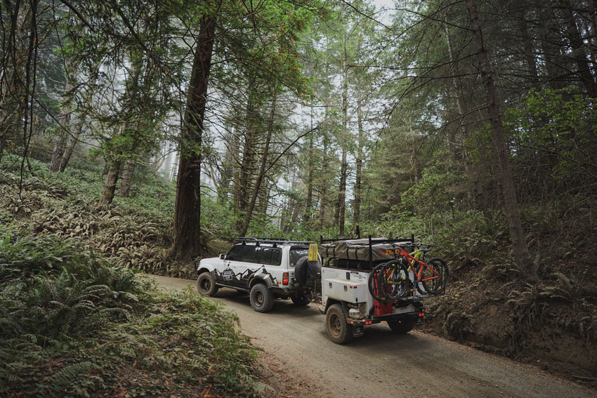 TurtlebackExpedition-forest.jpg