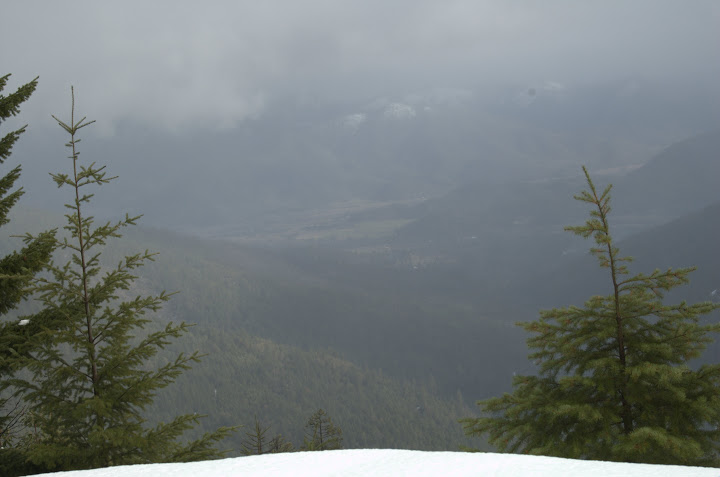 DSC_0311.jpg