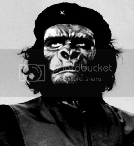 cuban_6.jpg