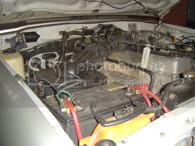 DSC05065.jpg