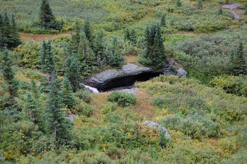 DSC_7838.jpg