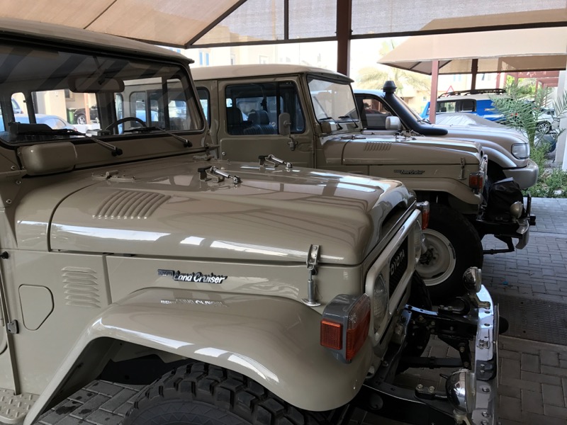 MUDdriveway40s.jpg