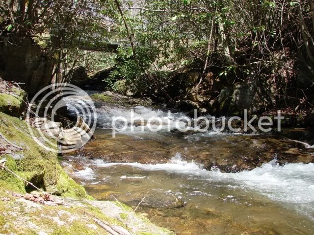 Picture026.jpg